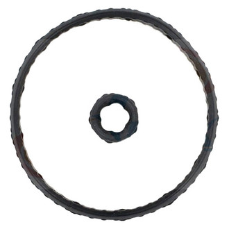 Apex Auto® - Engine Coolant Thermostat Seal