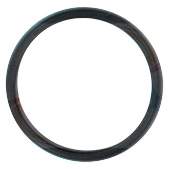 Apex Auto® - Engine Coolant Thermostat Seal