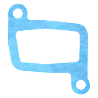 Apex Auto® - Engine Coolant Thermostat Housing Seal