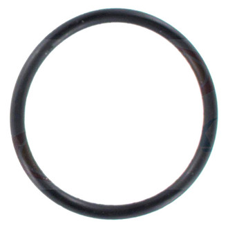 Apex Auto® - Engine Coolant Thermostat Seal
