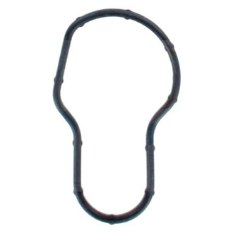 Apex Auto® - Engine Coolant Thermostat Seal