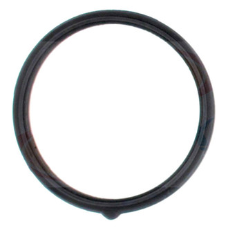 Apex Auto® - Engine Coolant Thermostat Seal