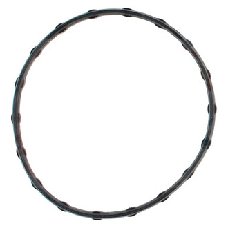 Apex Auto® - Engine Coolant Thermostat Seal