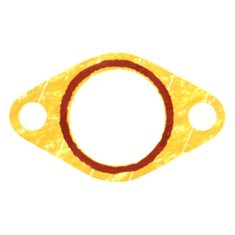 Apex Auto® - Engine Coolant Thermostat Housing Seal
