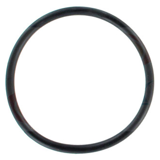 Apex Auto® - Engine Coolant Thermostat Housing Seal
