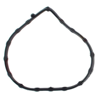 Apex Auto® - Engine Coolant Thermostat Seal
