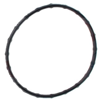 Apex Auto® - Engine Coolant Thermostat Seal