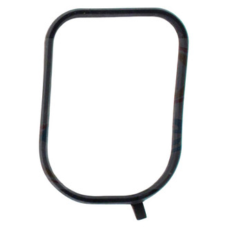 Apex Auto® - Engine Coolant Thermostat Seal