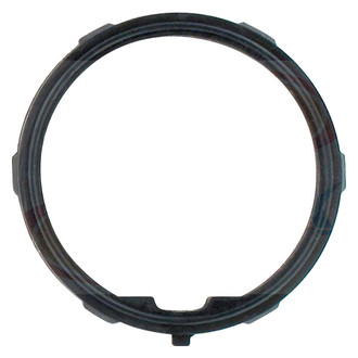 Apex Auto® - Engine Coolant Thermostat O-Ring