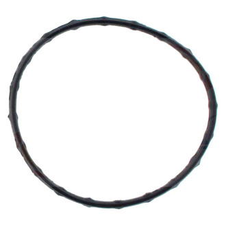 Apex Auto® - Engine Coolant Thermostat Seal