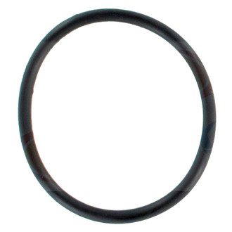 Apex Auto® - Engine Coolant Thermostat O-Ring