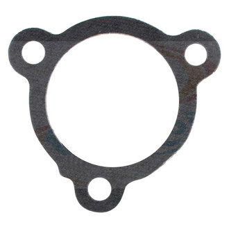Apex Auto® - Engine Coolant Thermostat Seal