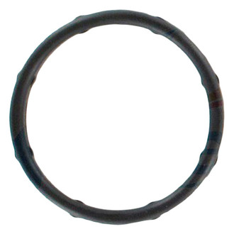 Apex Auto® - Engine Coolant Thermostat Seal