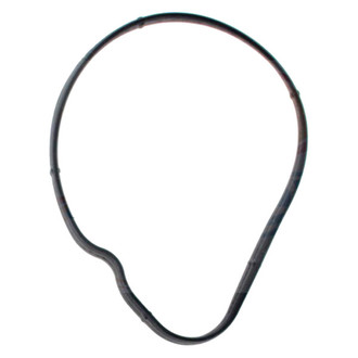 Apex Auto® - Engine Coolant Thermostat Seal