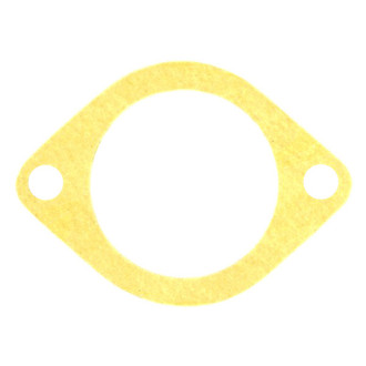 Apex Auto® - Engine Coolant Thermostat Housing Seal