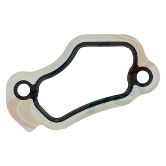 Apex Auto® - Engine Coolant Thermostat Housing Seal