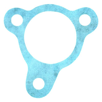 Apex Auto® - Engine Coolant Thermostat Housing Seal