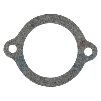 Apex Auto® - Engine Coolant Thermostat Seal