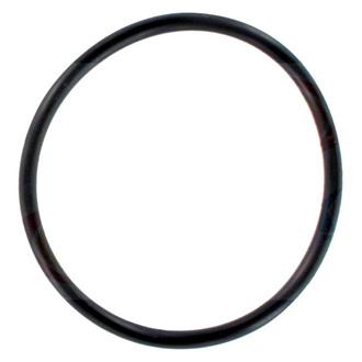 Apex Auto® - Engine Coolant Thermostat Housing O-Ring