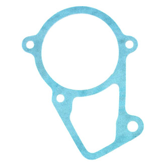 Apex Auto® - Engine Coolant Thermostat Seal