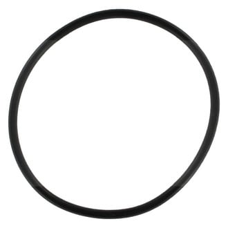 Apex Auto® - Engine Coolant Thermostat Seal