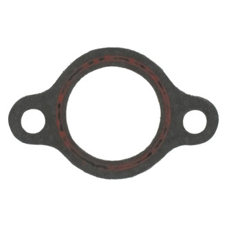 Apex Auto® - Engine Coolant Thermostat Seal