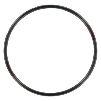 Apex Auto® - Engine Coolant Thermostat Housing O-Ring