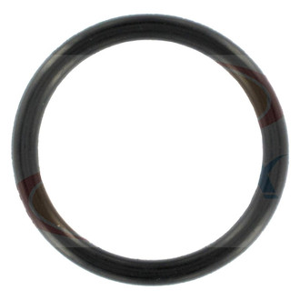 Apex Auto® - Engine Coolant Water Outlet Gasket