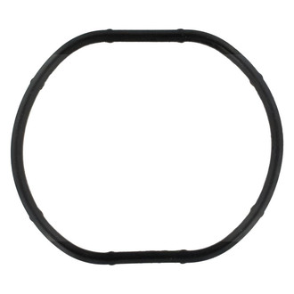 Apex Auto® - Engine Coolant Thermostat Seal
