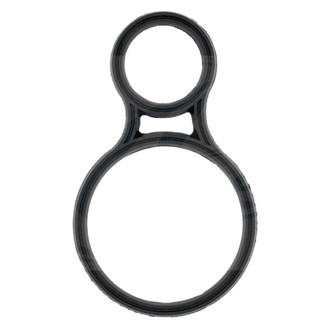 Apex Auto® - Engine Coolant Thermostat Seal