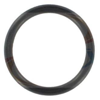 Apex Auto® - Engine Coolant Thermostat Housing Gasket