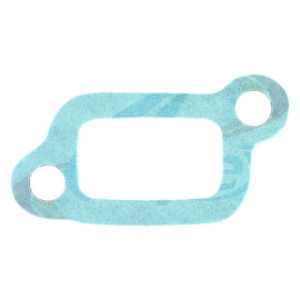 Apex Auto® - Engine Coolant Water Outlet Gasket