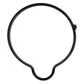 Apex Auto® - Engine Coolant Thermostat Seal