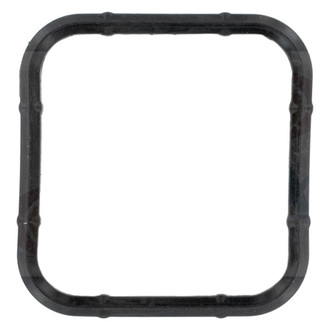 Apex Auto® - Engine Coolant Thermostat Seal