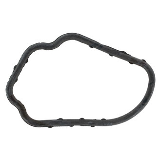 Apex Auto® - Engine Coolant Thermostat Seal