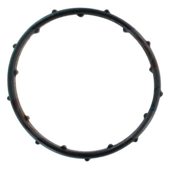 Apex Auto® - Engine Coolant Thermostat Seal