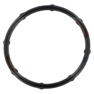 Apex Auto® - Engine Coolant Thermostat Housing Seal