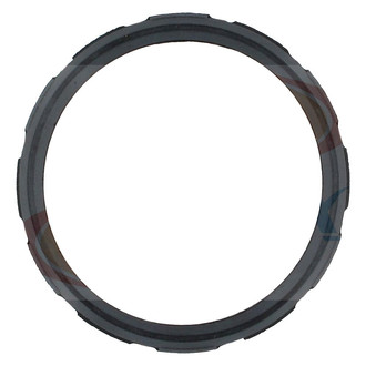 Apex Auto® - Engine Coolant Water Outlet Gasket