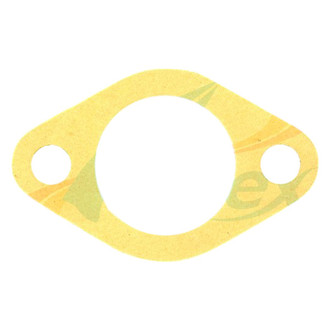 Apex Auto® - Engine Coolant Water Pump Gasket