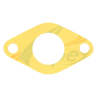 Apex Auto® - Engine Coolant Water Pump Gasket