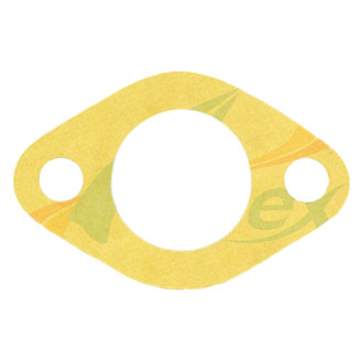 Apex Auto® - Engine Coolant Water Pump Gasket