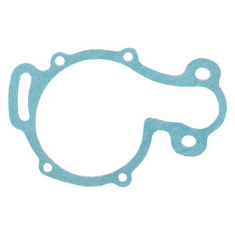 Apex Auto® - Engine Coolant Water Pump Gasket