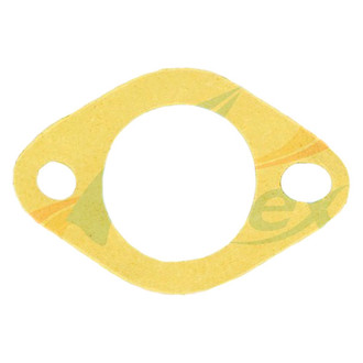 Apex Auto® - Engine Coolant Water Pump Gasket