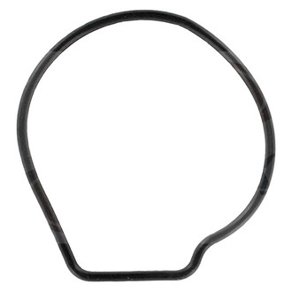 Apex Auto® - Engine Coolant Water Pump Gasket