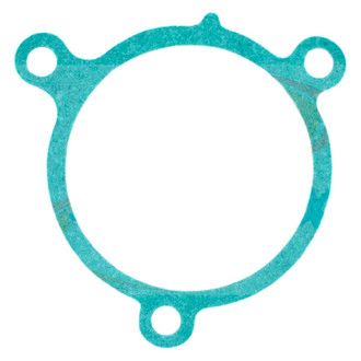 Apex Auto® - Engine Coolant Water Pump Gasket