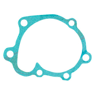 Apex Auto® - Engine Coolant Water Pump Gasket