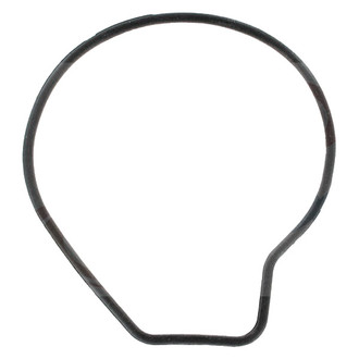 Apex Auto® - Engine Coolant Water Pump Gasket