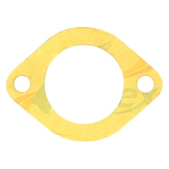 Apex Auto® - Engine Coolant Water Pump Gasket