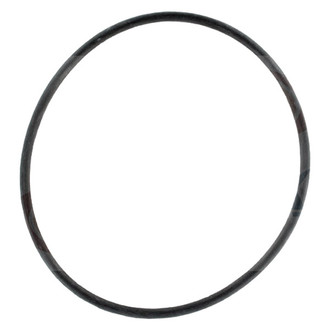 Apex Auto® - Engine Coolant Water Pump Gasket
