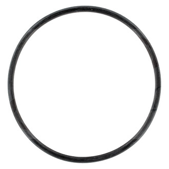 Apex Auto® - Engine Coolant Water Pump Gasket
